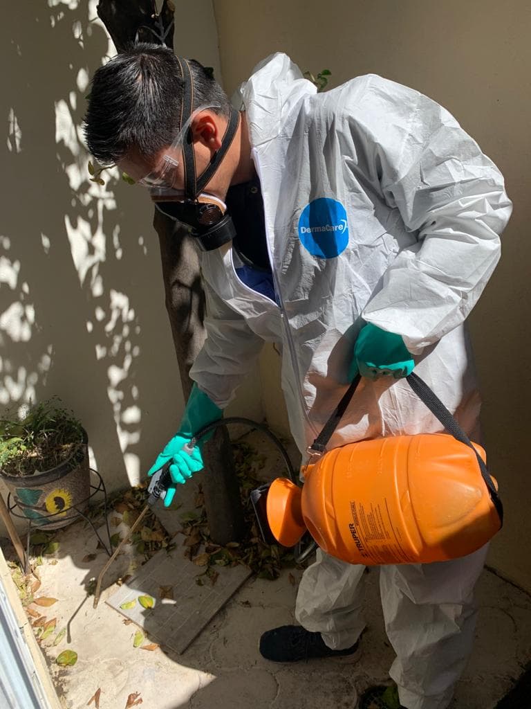 Profesional de control de plagas